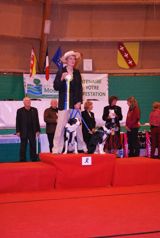 OURNÉE TRAVAUX DES 13 & 14 NOVEMBRE 2010