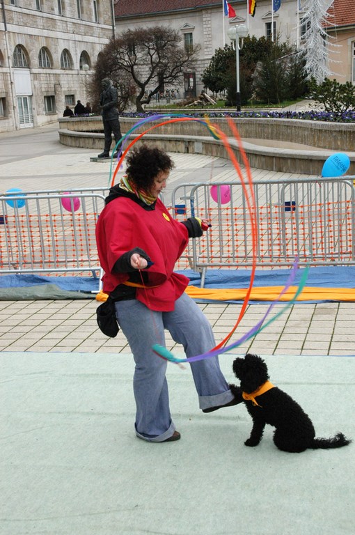 TÉLÉTHON DU 5 DÉCEMBRE 2009