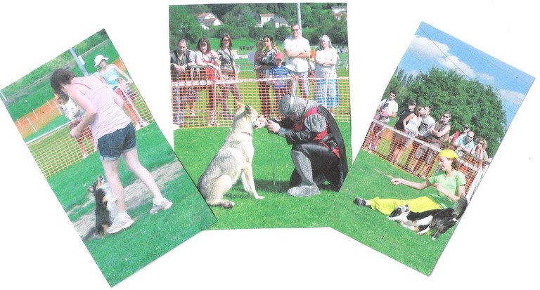 FÊTE DU CHIEN 2010 À BESANÇON