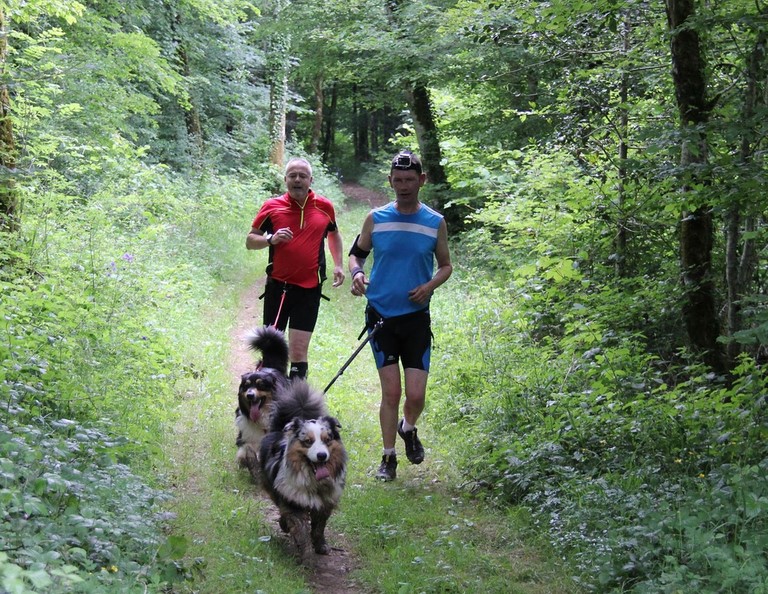 Concours cani-cross du 30  Mai 2015