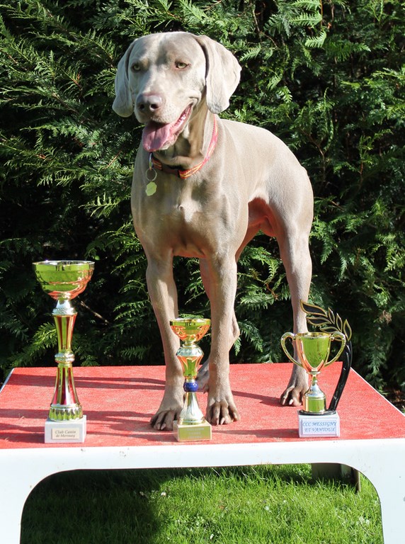 UN NOUVEAU DANS LA COURS DES GRANDS