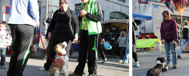 SORTIE EN VILLE DU 26 OCTOBRE 2013