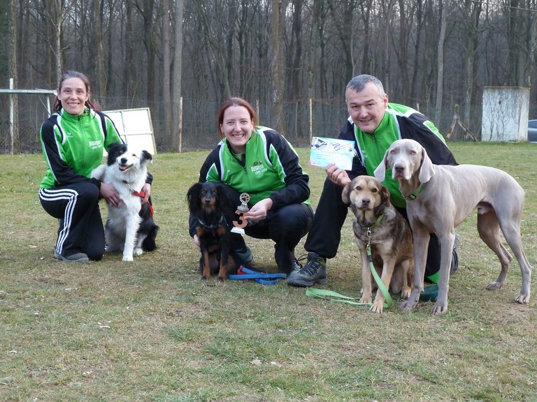 SÉLECTIF GRAND EST DU TROPHÉE PAR EQUIPE EN AGILITY