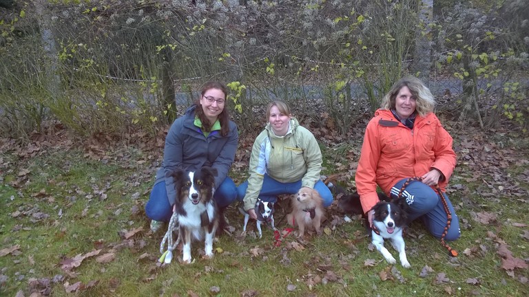 4 nouveaux chiens visiteurs