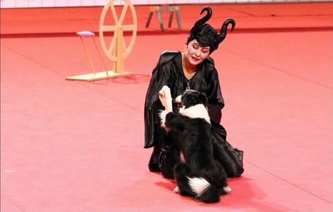 Grand Prix Belge 2015