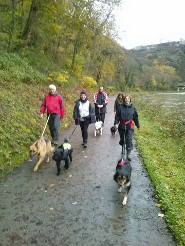 JOURNÉE CROSS-CANIN ET CANI-MARCHE