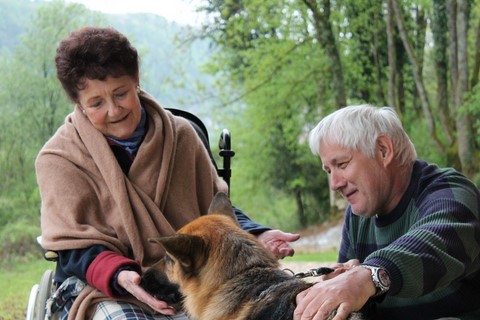 Les Chiens Visiteurs