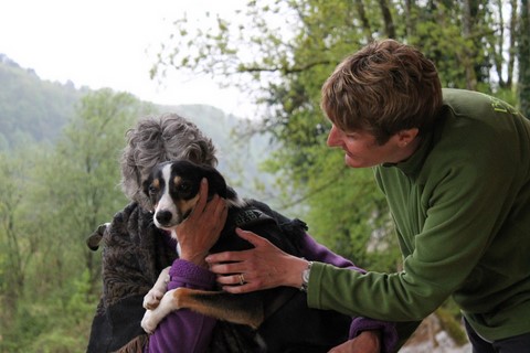 Les Chiens Visiteurs