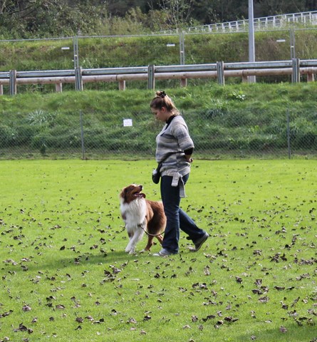 NOTRE PORTE OUVERTE DU 19 OCTOBRE 2013