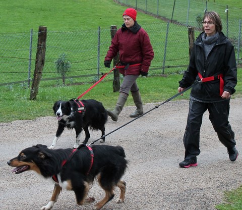 JOURNÉE CROSS-CANIN ET CANI-MARCHE