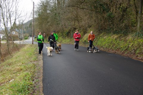 DIMANCHE 3 FÉVRIER : JOURNÉE CANI-MARCHE :