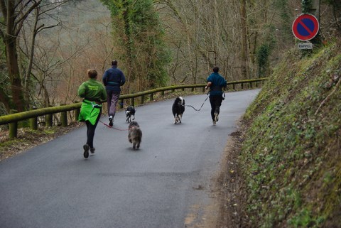 DIMANCHE 3 FÉVRIER : JOURNÉE CANI-MARCHE :