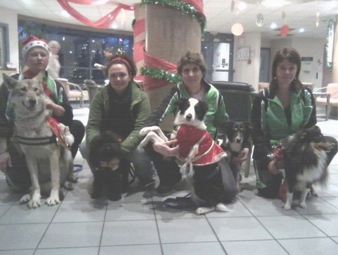 Les Chiens Visiteurs