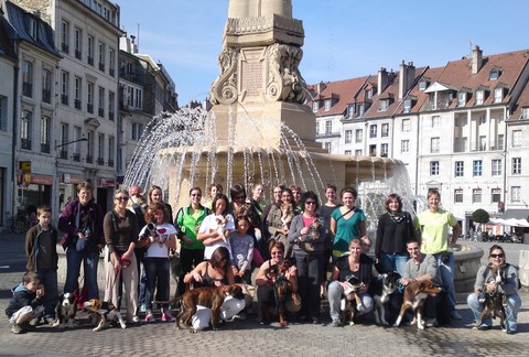 SORTIE EN VILLE POUR NOS CHIOTS :