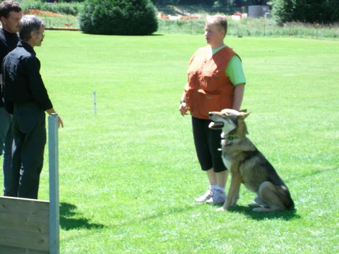 CONCOURS OBÉISSANCE DU 16 JUILLET 2011