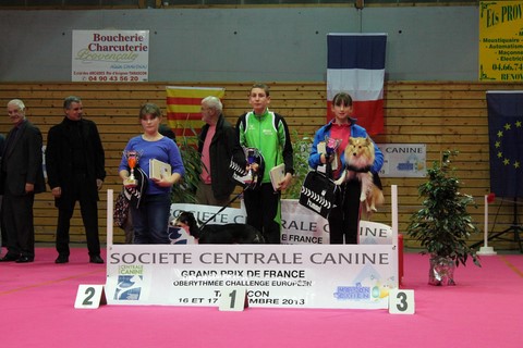 GRAND PRIX DE FRANCE D'OBÉRYTHMÉE 2013